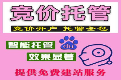 网络推广开户全解析：成功案例分析